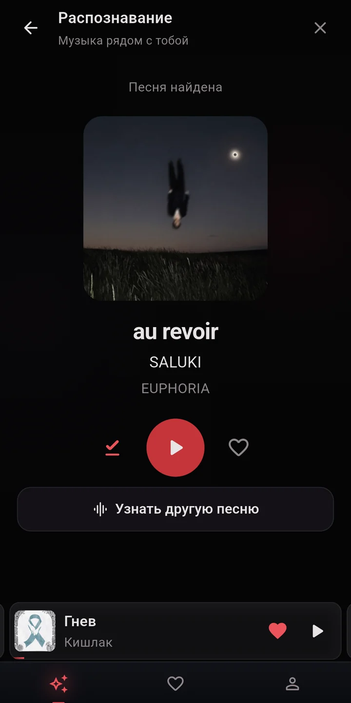 Найдена песня au revoir исполнителя SALUKI: воспроизведение и сохранение
